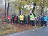 Kasterlee 2017 - 036.jpg